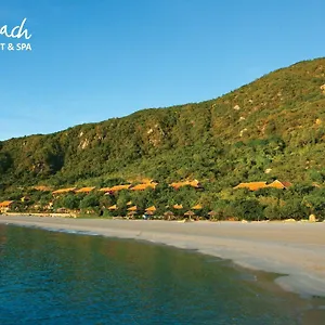 Wild Boutique Ninh Phuoc
